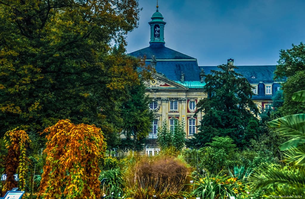 Schlosspark (Botanischer Garten)