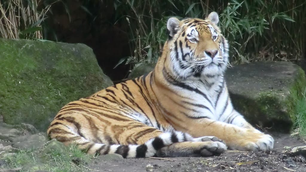 Familienroute 4-10: Zoo, Pferde & Freilicht