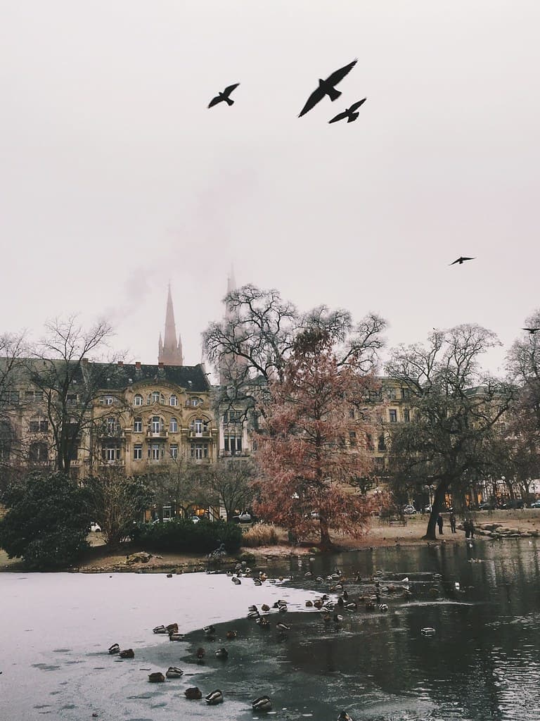 Riesling, Genussküche & Kurpark: Date-Abend in Wiesbaden