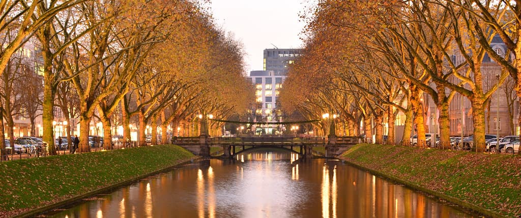 Königsallee