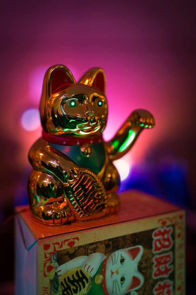 Katze