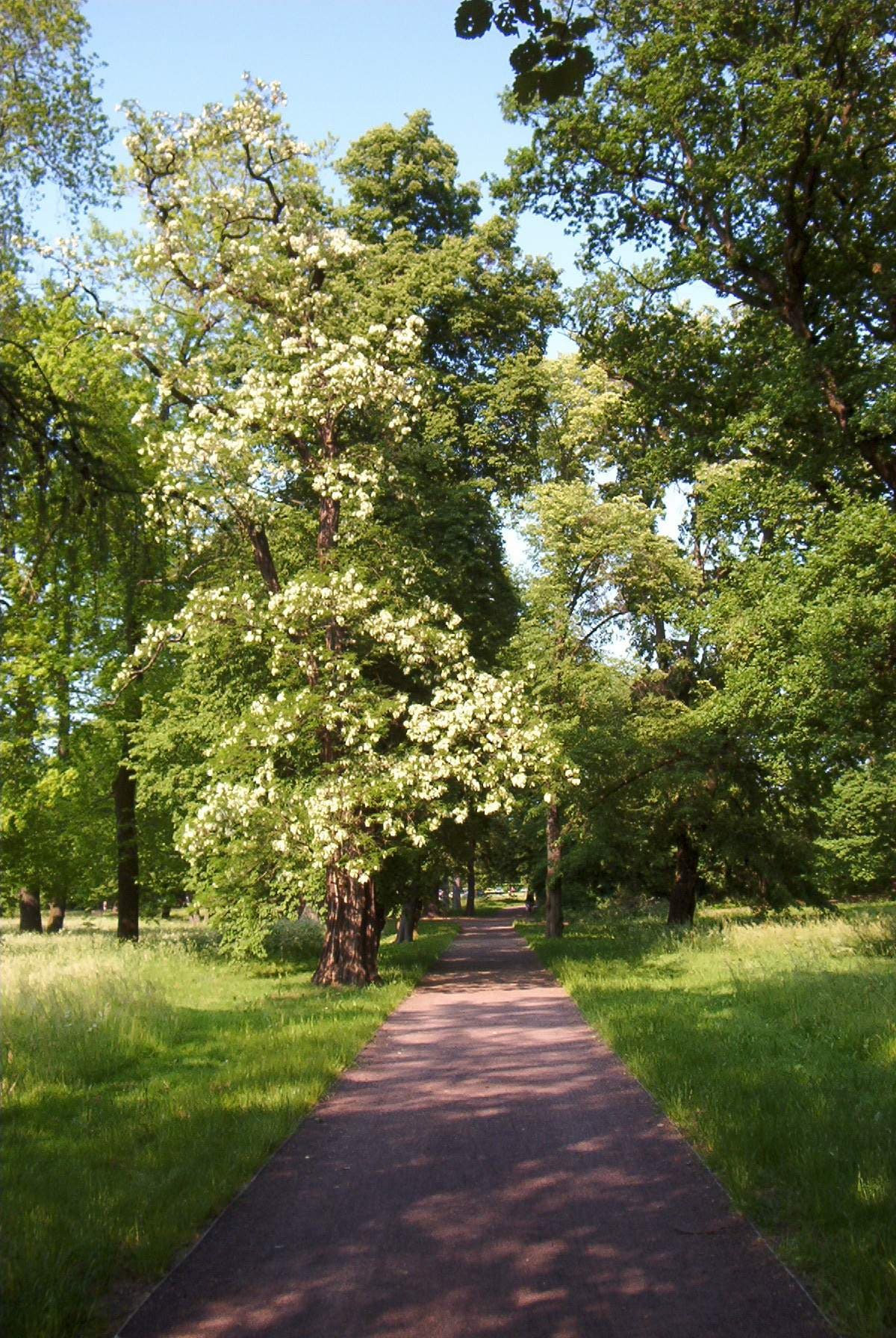 Herrenkrug Park
