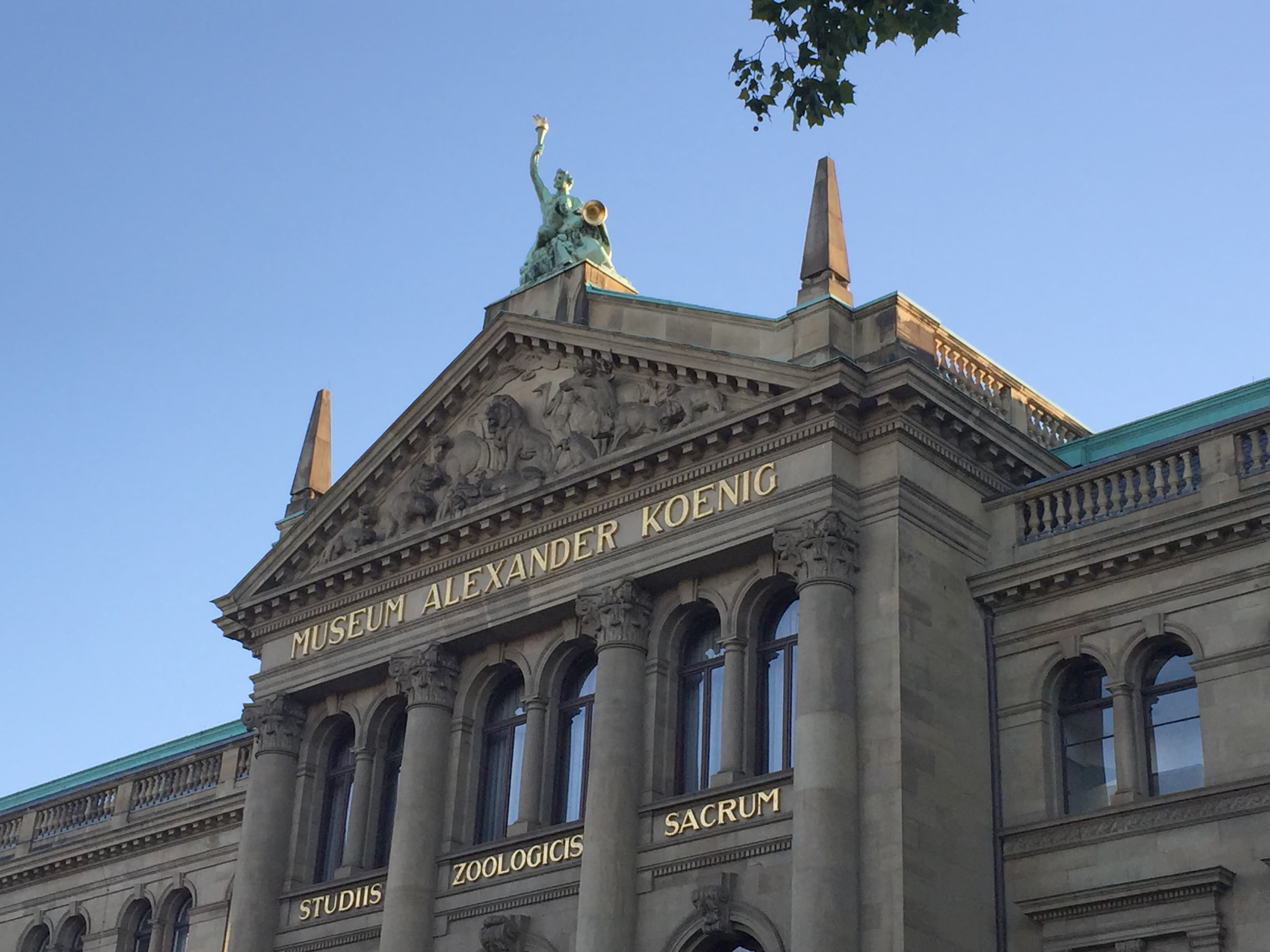 Museum Alexander Koenig