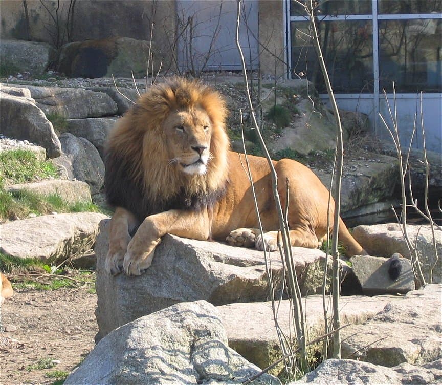 Tierpark Hellabrunn
