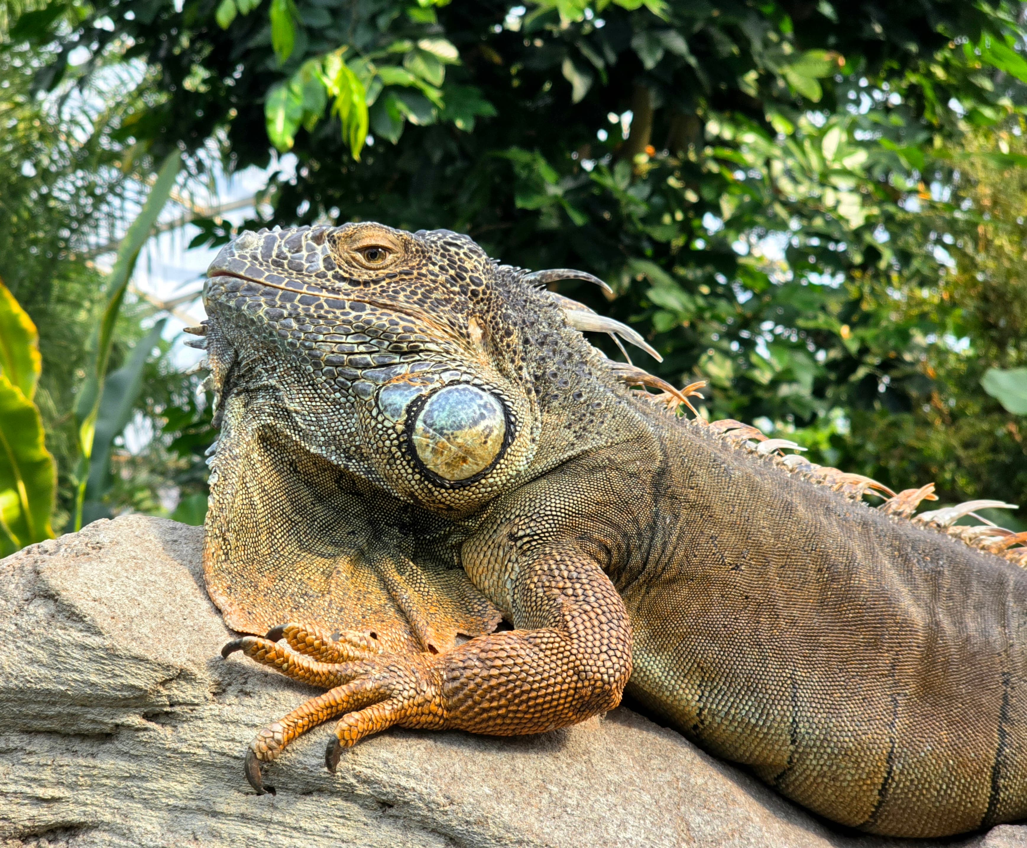 Familienroute 4-10: Zoo, Mitmachen & Park