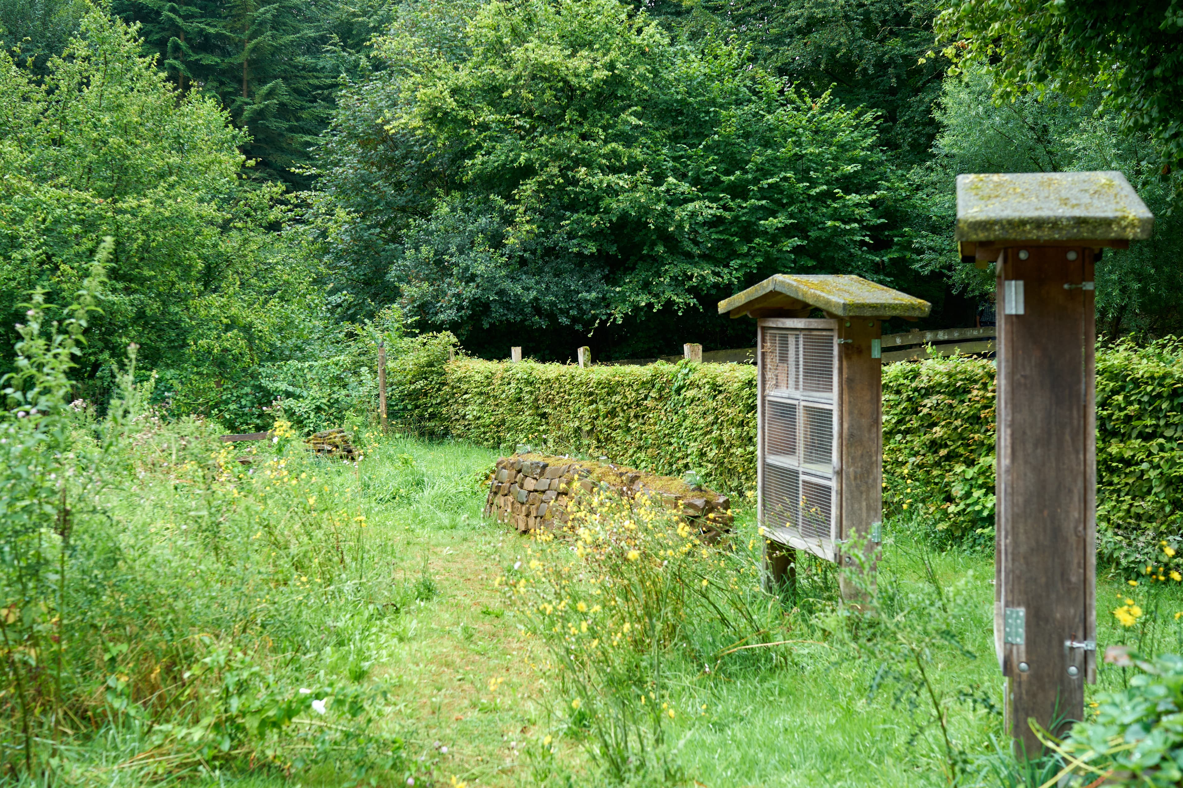 Wildpark am Grafenberger Wald